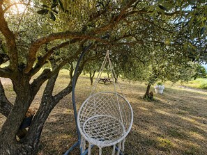 A hammock hanging from a tree in a garden setting.