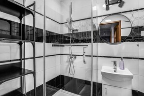 Shower, towels, toilet paper