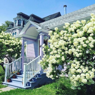 Lunenburg's Cupcake House