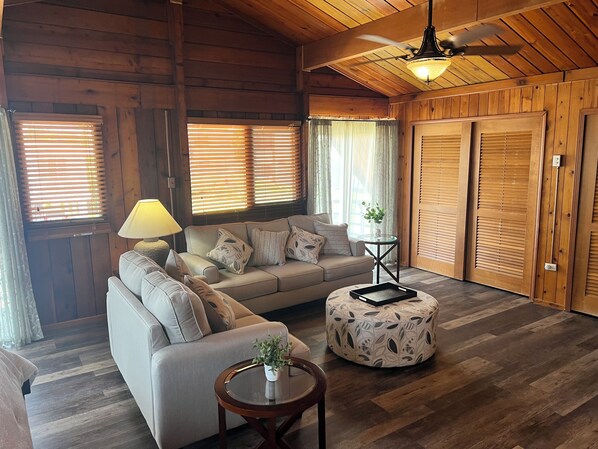 Smart TV, video games, DVD player, books