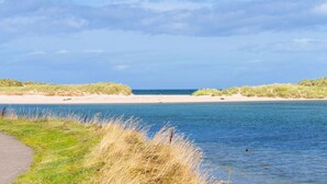 A coastal landscape with a sandy beach, grassy dunes, and a calm body of water.