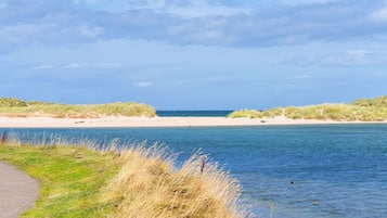 Vlak bij het strand