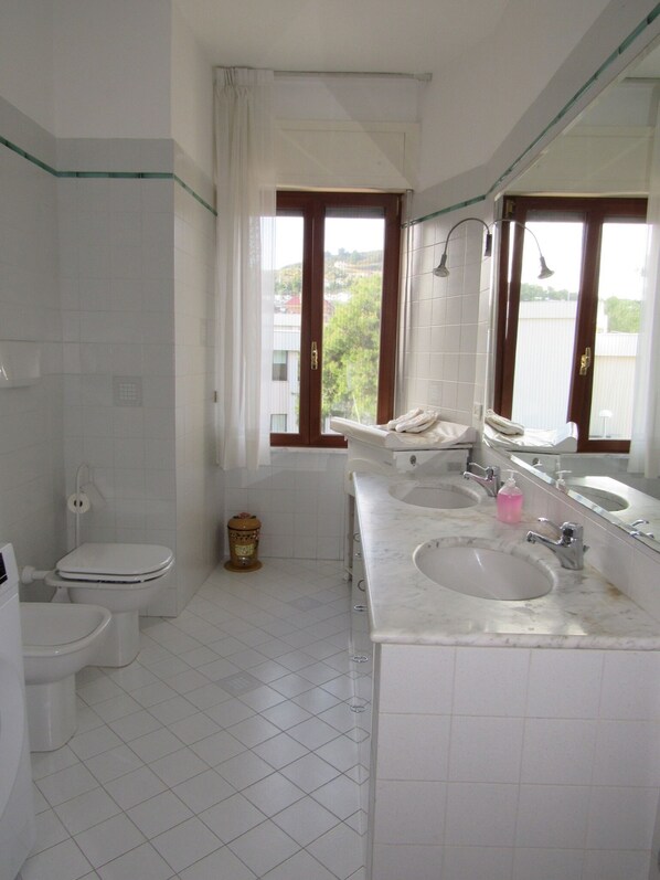 Hair dryer, bidet, towels, soap
