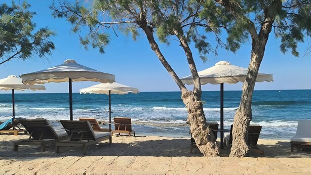 Una playa con sillas de playa y sombrillas, un muro de piedra y el mar al fondo.