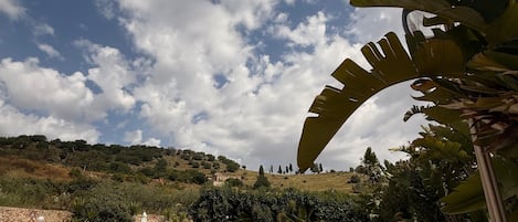 Alberca