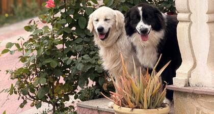 Militello villa in Italy's most beautiful village 2025