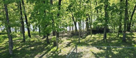 Overnattingsstedets uteområder