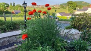 Un jardín con flores rojas y un farol.
