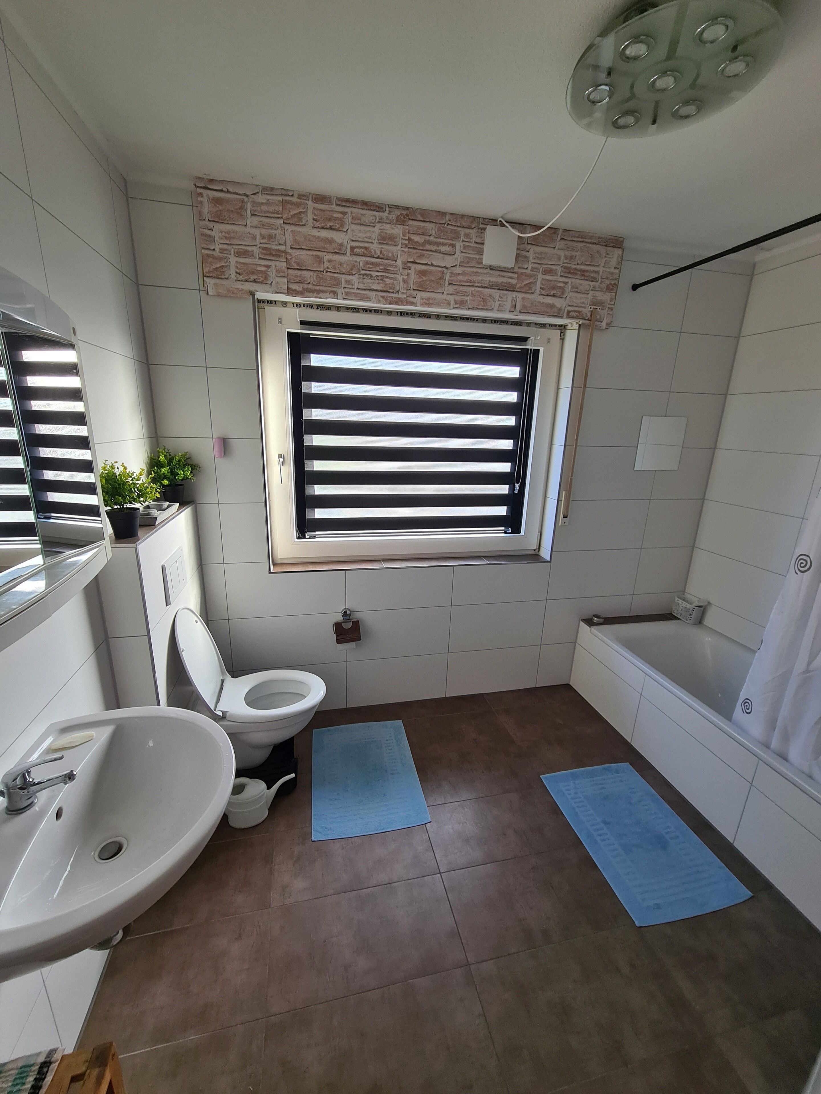 Shower, towels, toilet paper