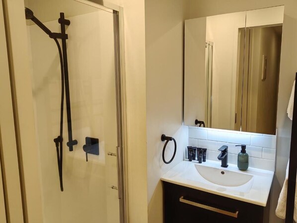Appartement Deluxe | Salle de bain | Douche, séchoir à cheveux, serviettes fournies, savon