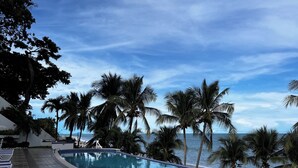 A curved infinity pool with palm trees and a view of the ocean. - Oceanfront in Coronado Bay (Las Lajas)