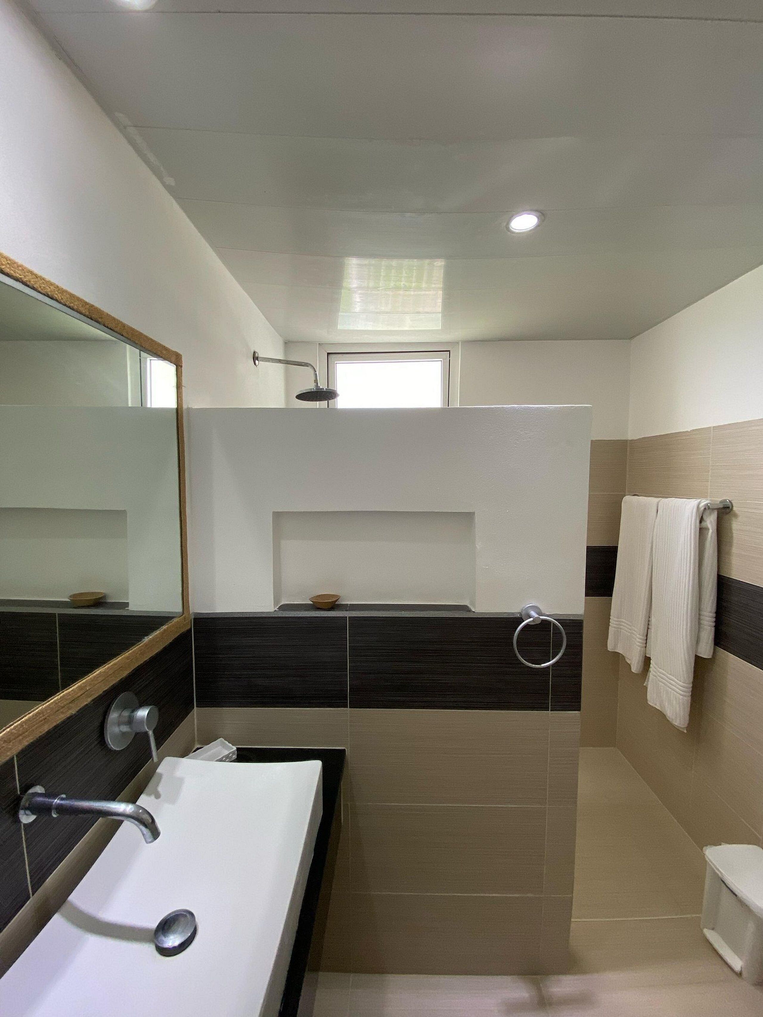 A modern bathroom with a large mirror, a sink, a shower, and a toilet.