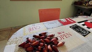 Ein Zimmer mit Tisch, der mit einer Tischdecke bedeckt ist, einem Fenster mit Blick auf Grünflächen und einem Stuhl.