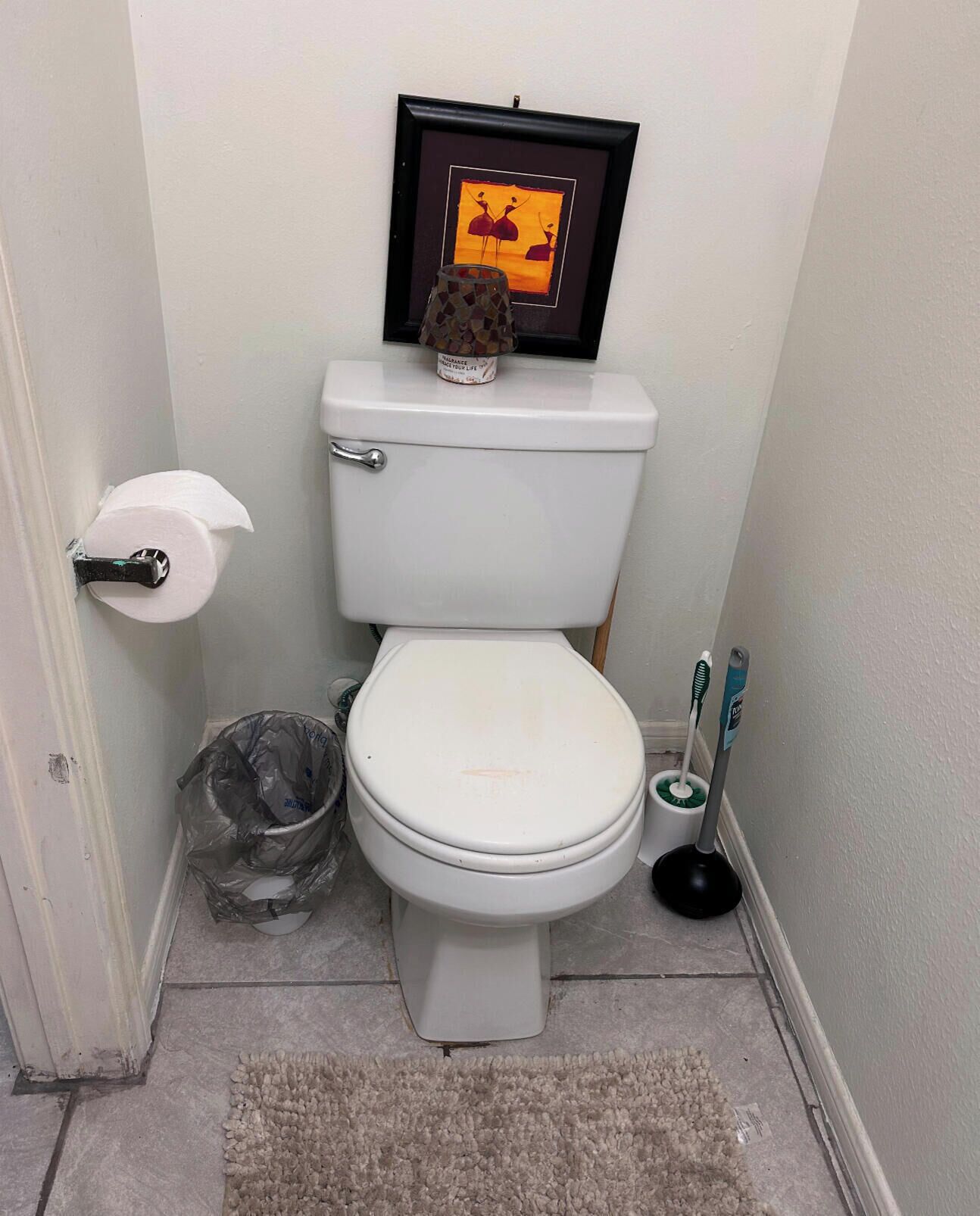 Een badkamer met een toilet, een lijstje erboven, een rol toiletpapier, een prullenbak en een vloermat.