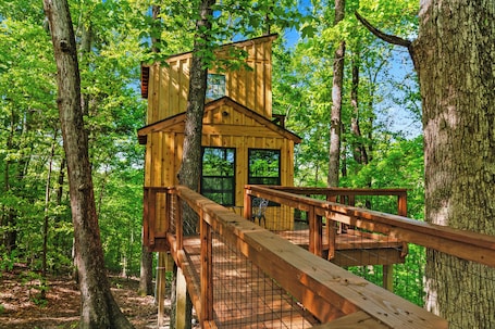 施設の敷地. Private Treehouse getaway on Lake Barkley. Luxury in the trees!