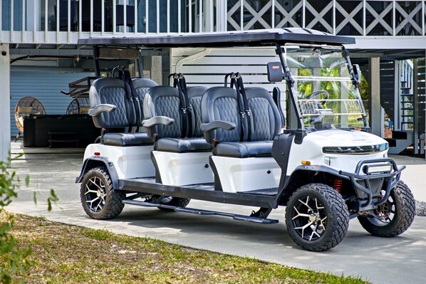 A white golf cart with black seats and a canopy, parked on a driveway.