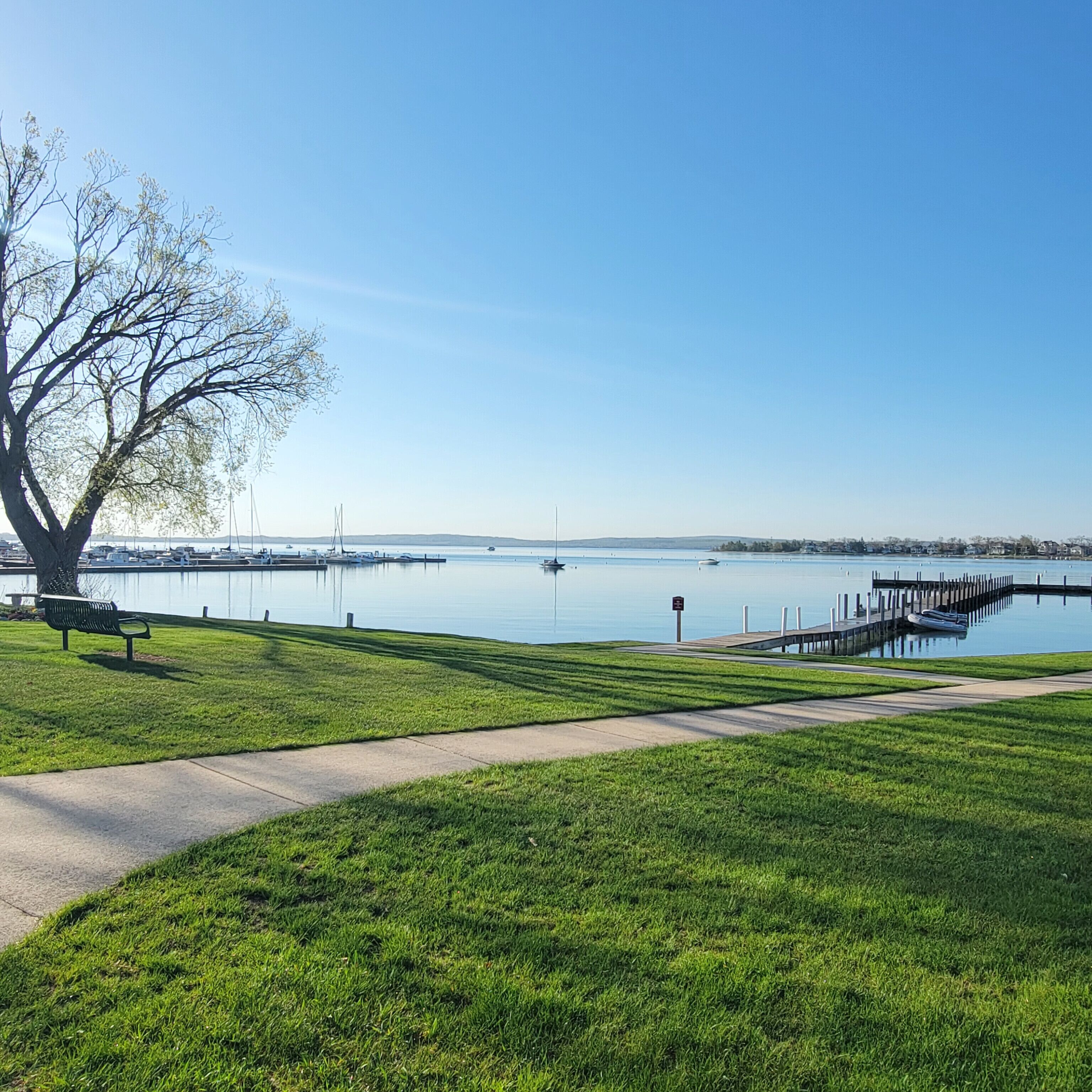 A park with a grassy area, a bench, a tree, and a body of water with boats.
