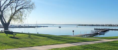 A park with a grassy area, a bench, a tree, and a body of water with boats.