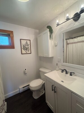 Hair dryer, towels, soap, shampoo