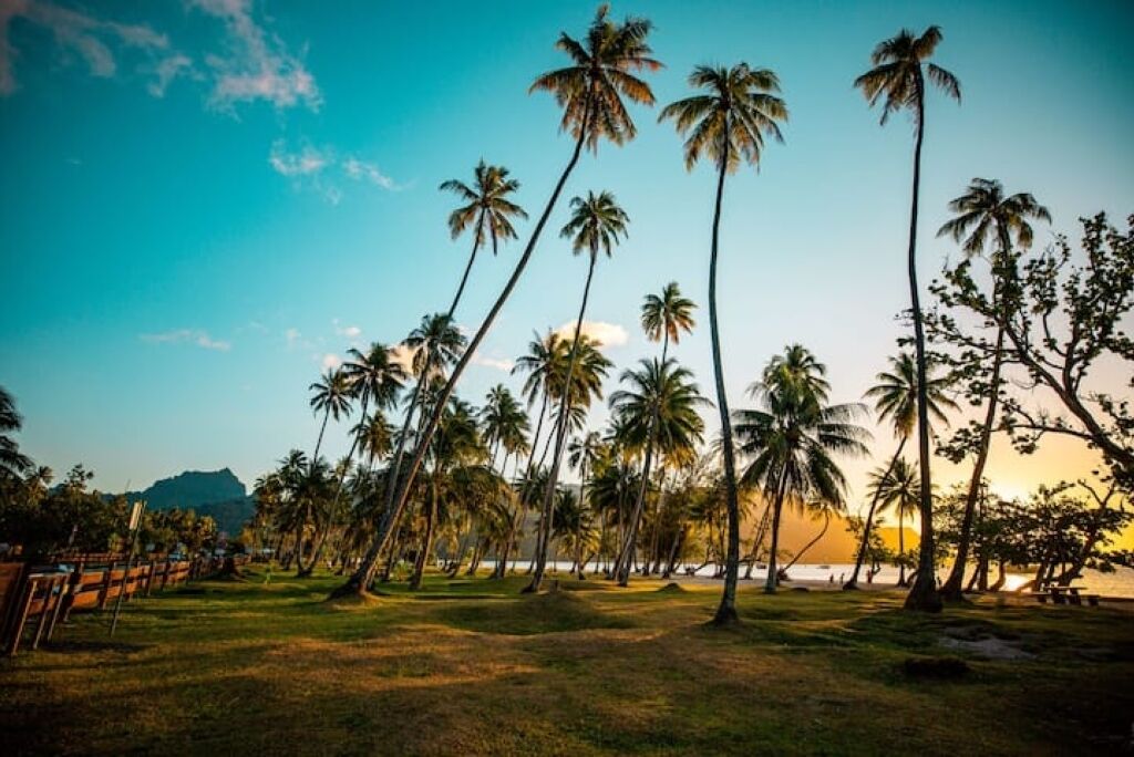 منوع
