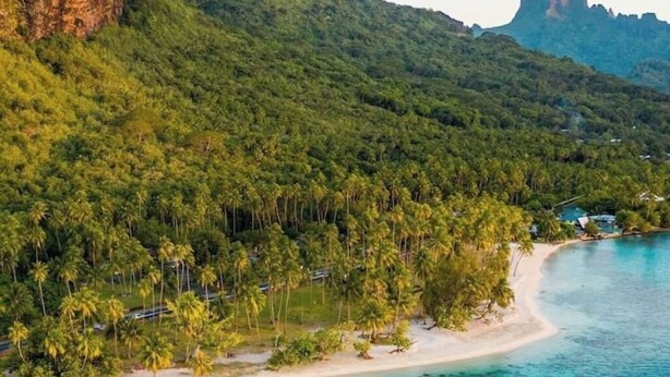 A coastal landscape with a sandy beach, dense green forest, and a clear blue sea.
