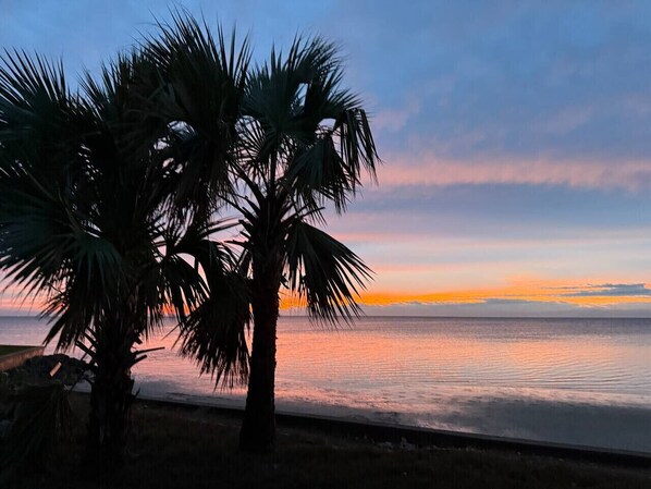 Nära stranden