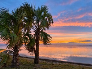 A sunset view with palm trees and calm water.