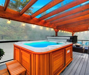 Indoor spa tub - Private Luxury Resort steps in Langley Event Centre- w/ hot tub, basketball (Langley Township)