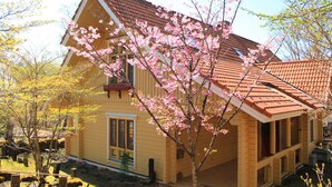 Una casa de fusta groga amb teulada de rajoles vermelles, envoltada d'arbres florits.