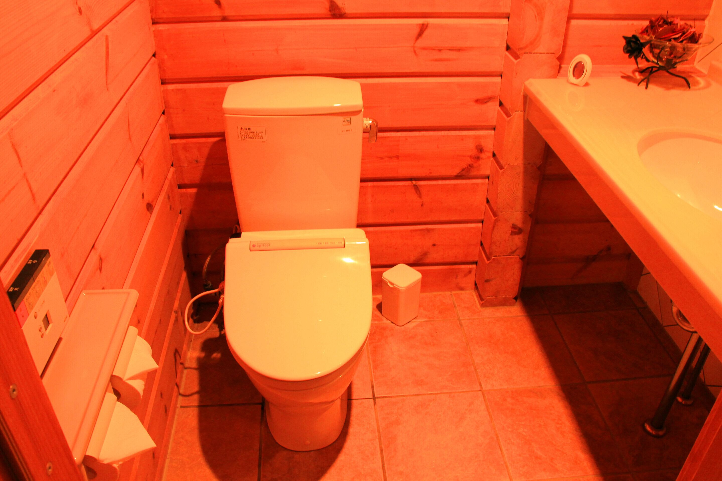 A small, compact bathroom with a wooden interior, a white toilet, and a sink.
