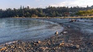 A rocky shoreline with a forest in the background. - Luxury Rainbow House, Private with Pool Table, and Oceanview (Nanaimo)