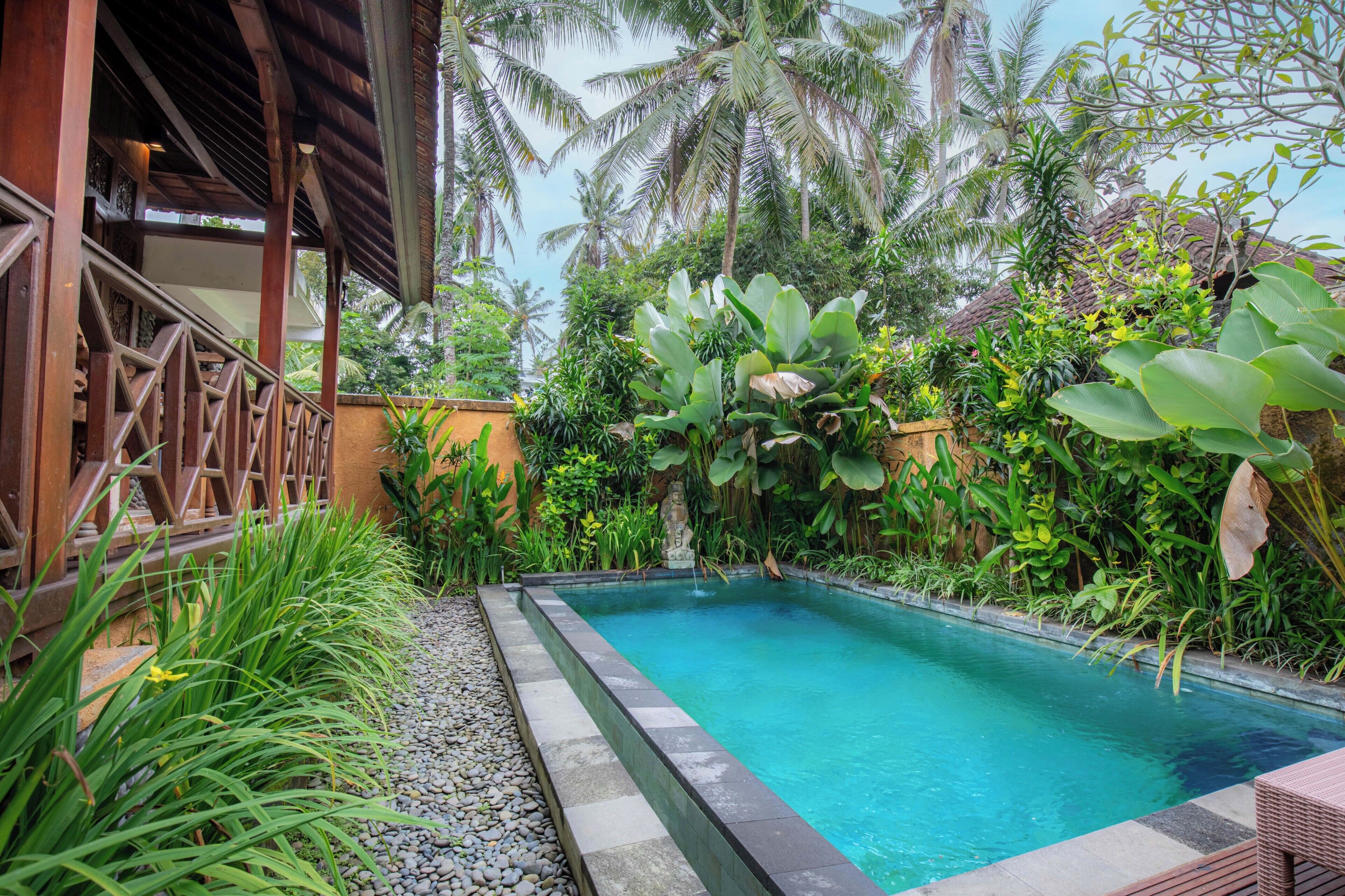 Quang cảnh từ phòng