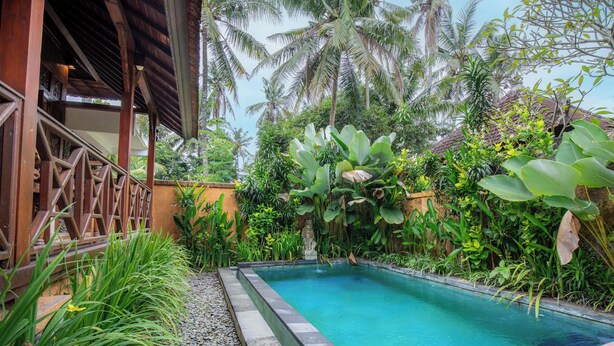 A pool surrounded by lush greenery and a wooden structure. - Green Zone Villas Ubud (Ubud)