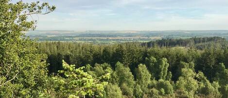 Un paysage boisé offrant une vue sur des champs et des collines lointaines.