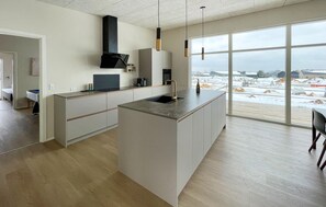 Fridge, stovetop, dishwasher, coffee/tea maker