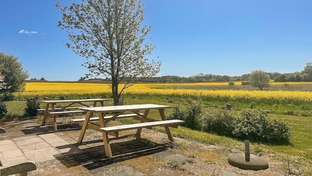 Un espace pique-nique avec des bancs en bois et un arbre, situé devant un champ jaune et un ciel bleu dégagé.