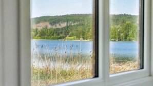 Una vista di un lago circondato da boschi e canneti, vista da una finestra.