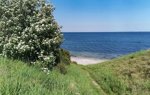 Ein Küstenpfad, der zu einem Strand führt, mit einem üppig blühenden Busch und freiem Blick aufs Meer.