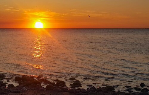 3 bedroom cozy home in Fårevejle