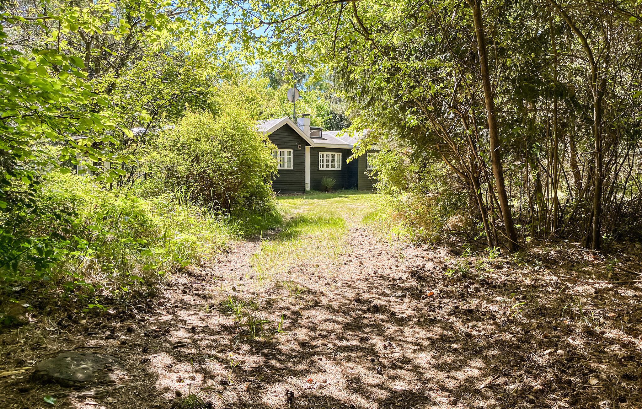 Une maison entourée d’une végétation luxuriante, avec un chemin de terre qui y mène.