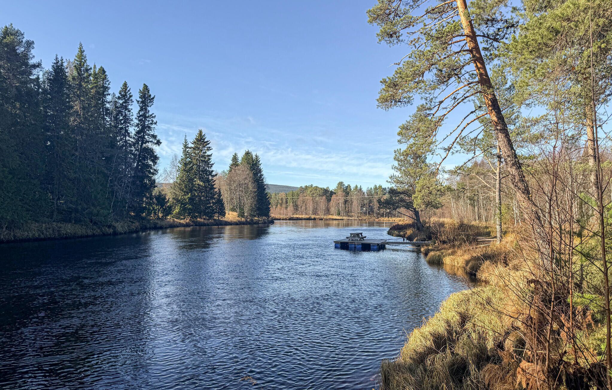 Un río tranquilo rodeado de un bosque frondoso y un cielo despejado.