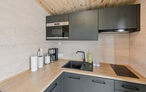KĂŒhlschrank, Mikrowelle, Herdplatte, GeschirrspĂŒler