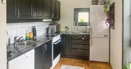 Bel appartement Ă Rysstad
