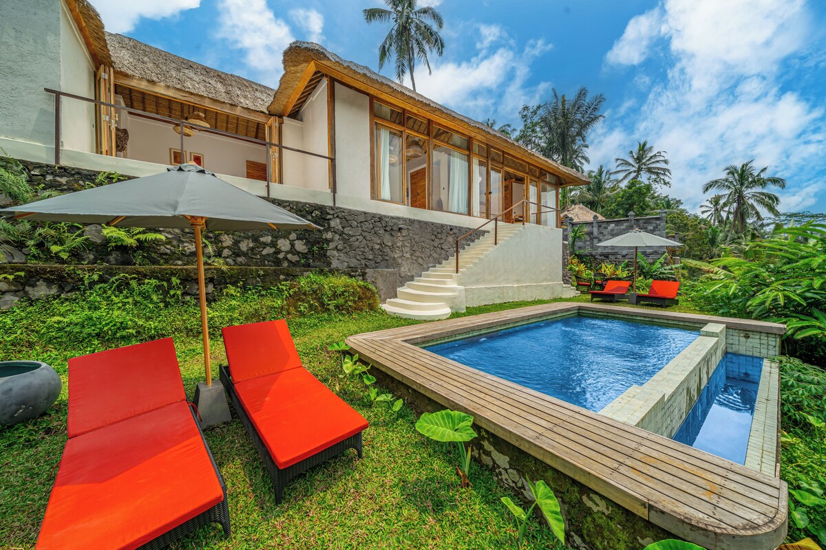 Ein modernes Resort mit Pool, roten Liegestühlen und einem Gebäude mit Reetdach.