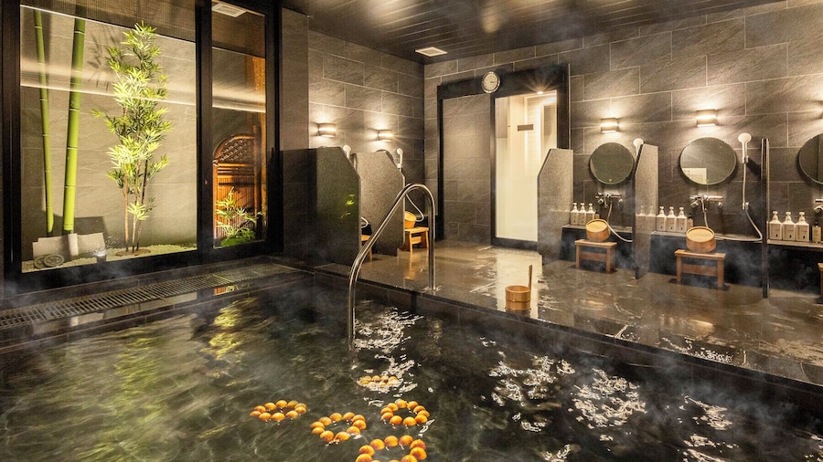 Super Hotel Premier Toyama Castle Park