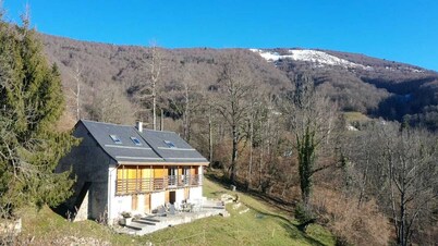 Detached mountain house