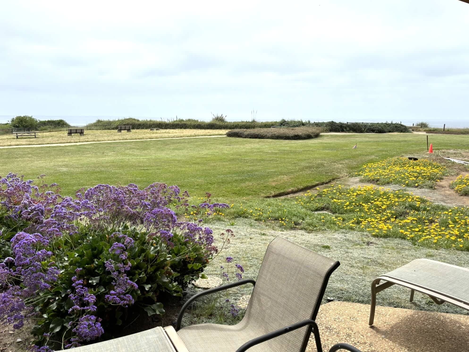 An outdoor seating area with a view of a grassy field and flowers.