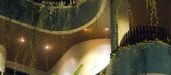 Bagaincha Resort & Spa