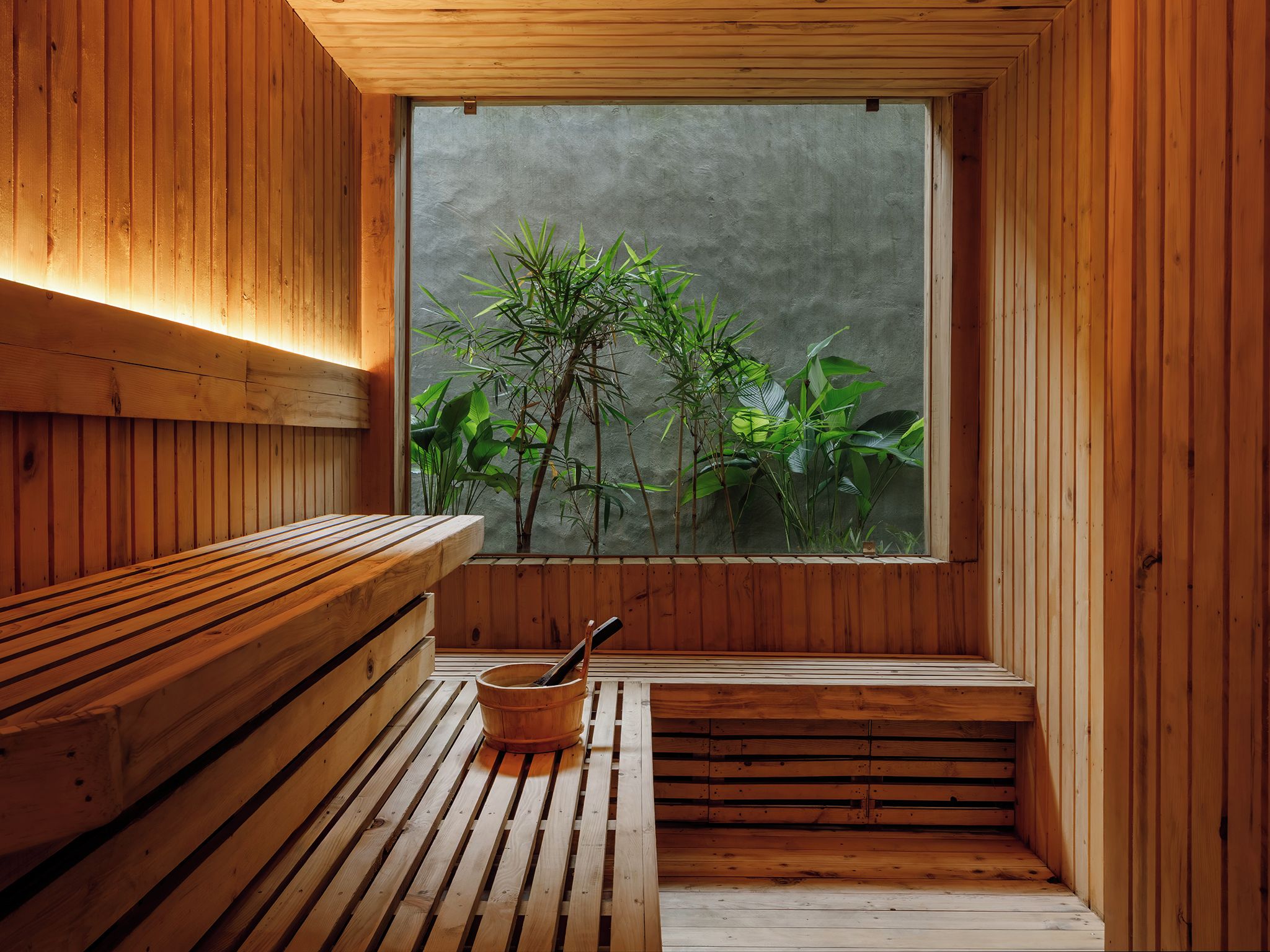 A wooden sauna with benches and a window overlooking greenery.