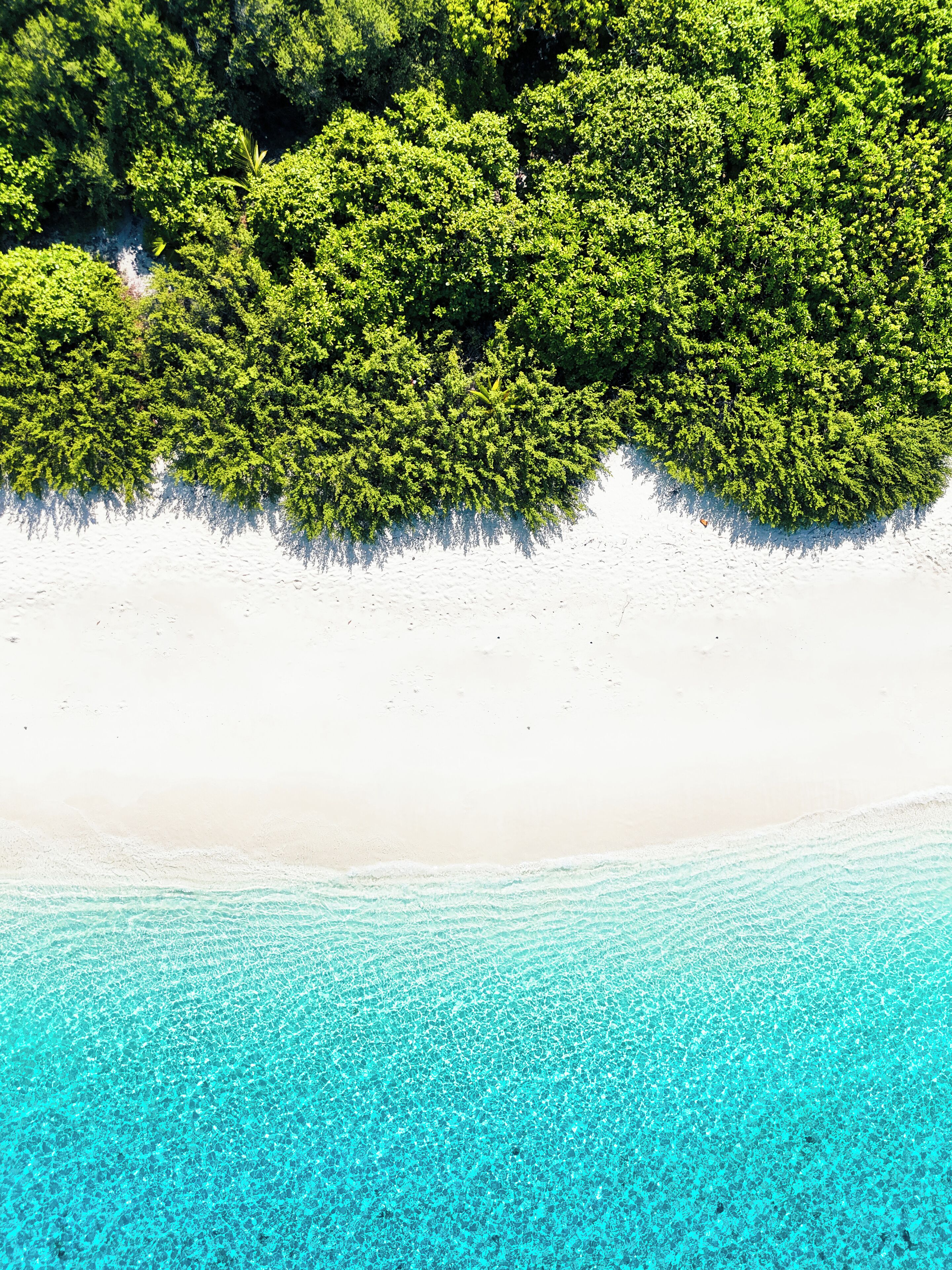 Vista aérea de una playa con aguas turquesas cristalinas y abundante vegetación verde.